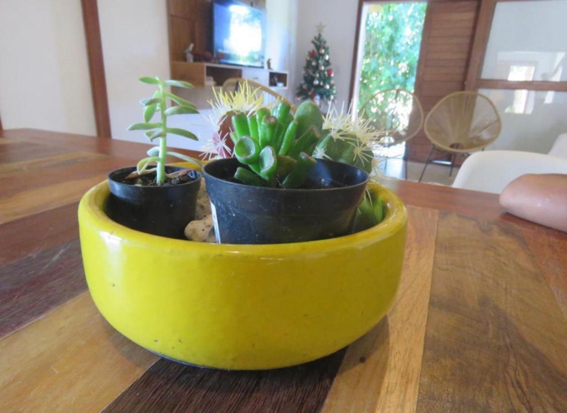 Willa Concept House Caraíva Zewnętrze zdjęcie